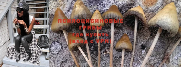 соль курить ск Дмитриев