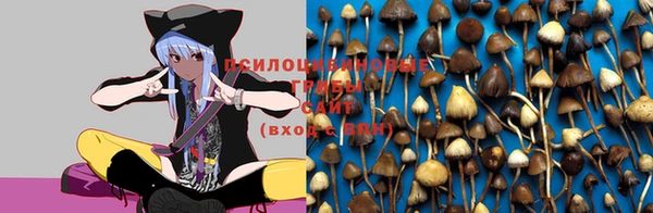 mdpv Ельня