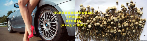 бутират Дмитров