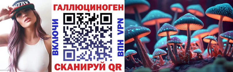 Псилоцибиновые грибы Magic Shrooms  Купить где  Карабаш 